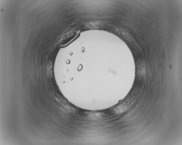 X0000058120332200510171317