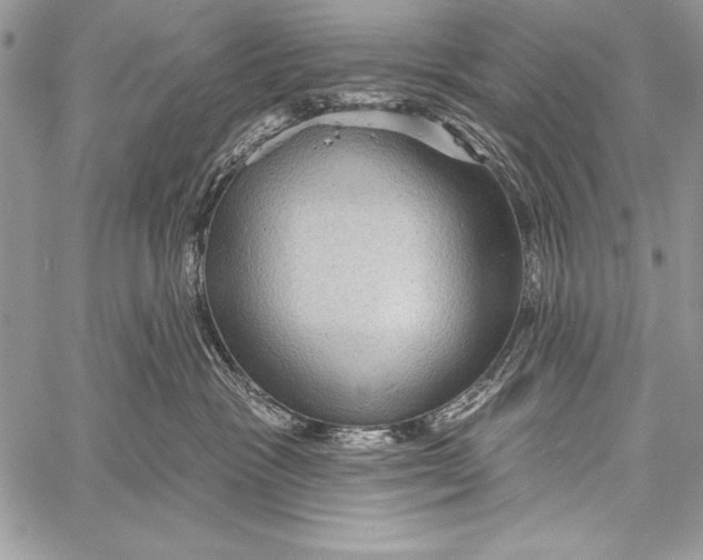 X0000058120333200510171317