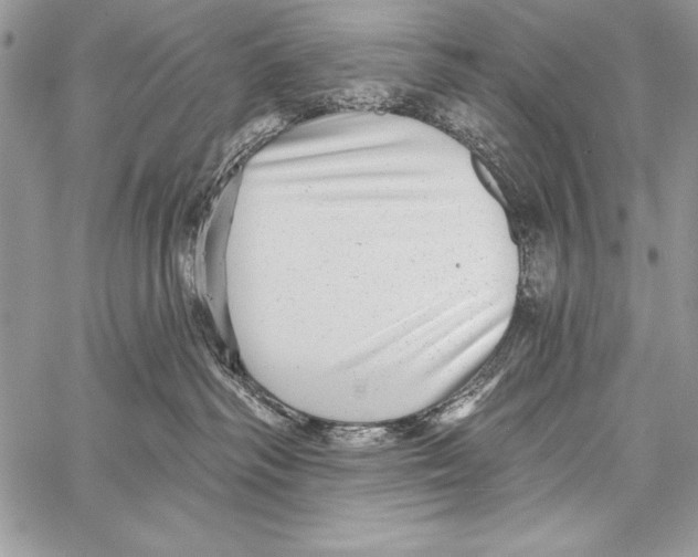 X0000058120334200510171317