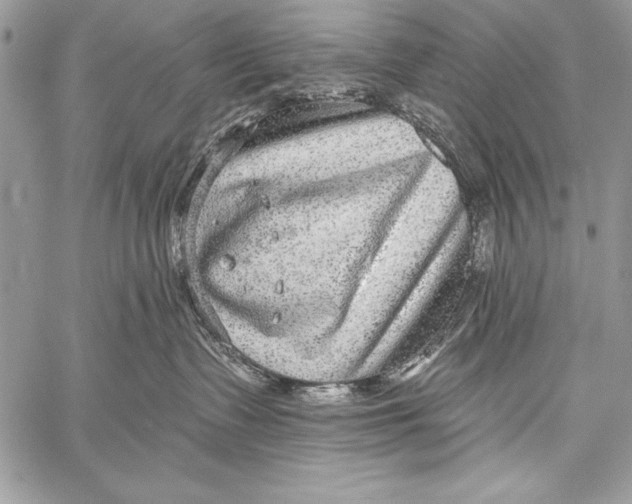 X0000058120335200510171317