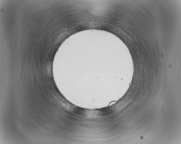 X0000058120336200510171317