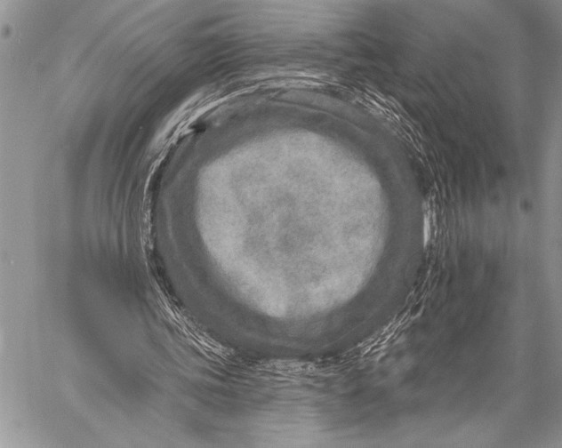 X0000058120339200510171316