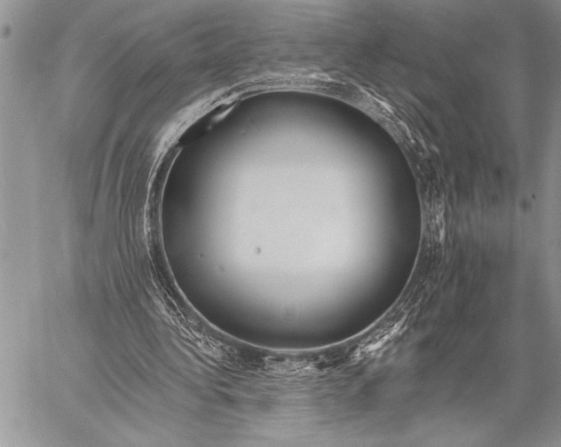 X0000058120340200510171316