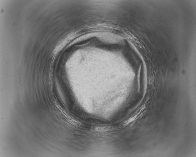 X0000058120341200510171316