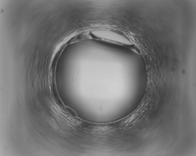 X0000058120342200510171316