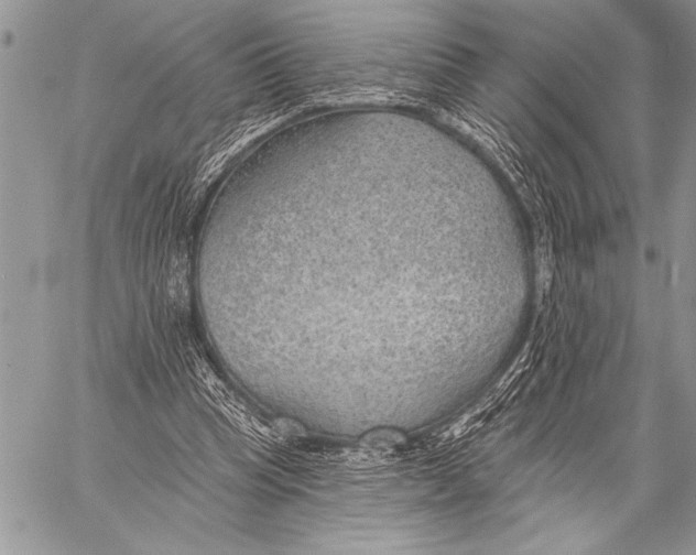 X0000058120345200510171316