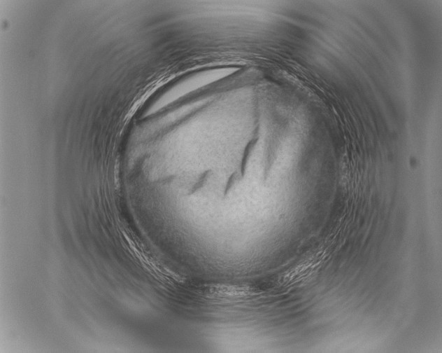 X0000058120347200510171316