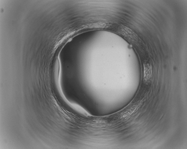 X0000058120348200510171316