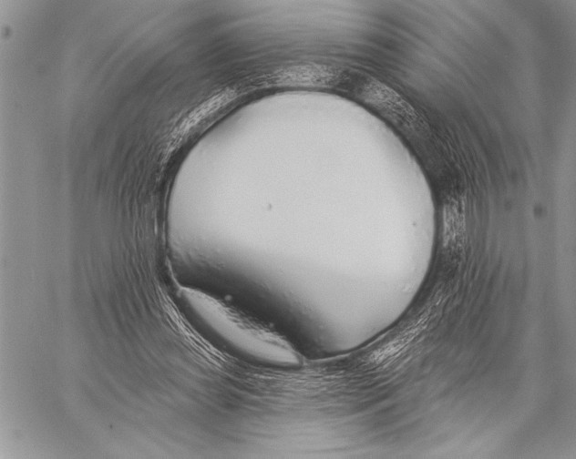 X0000058120349200510171316