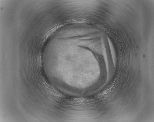 X0000058120351200510171316