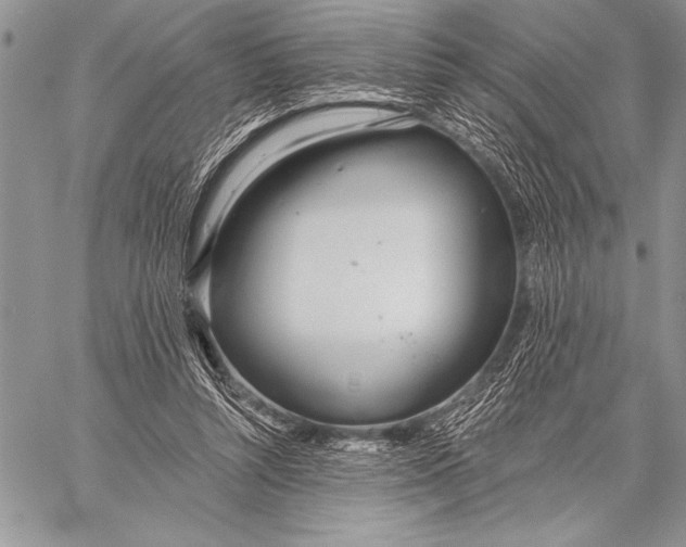 X0000058120352200510171316