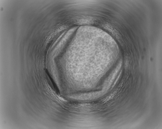 X0000058120353200510171316