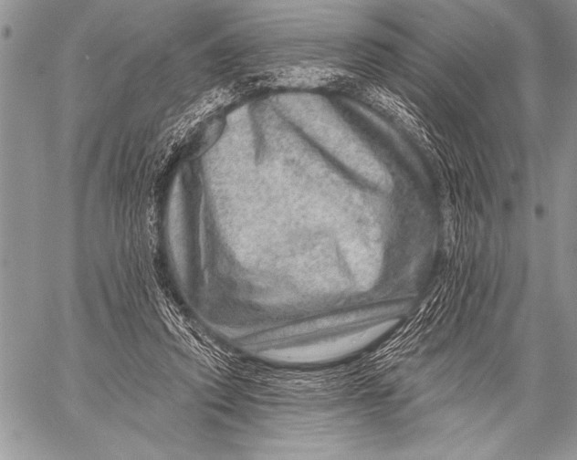 X0000058120354200510171316