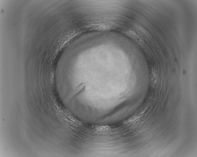 X0000058120355200510171316