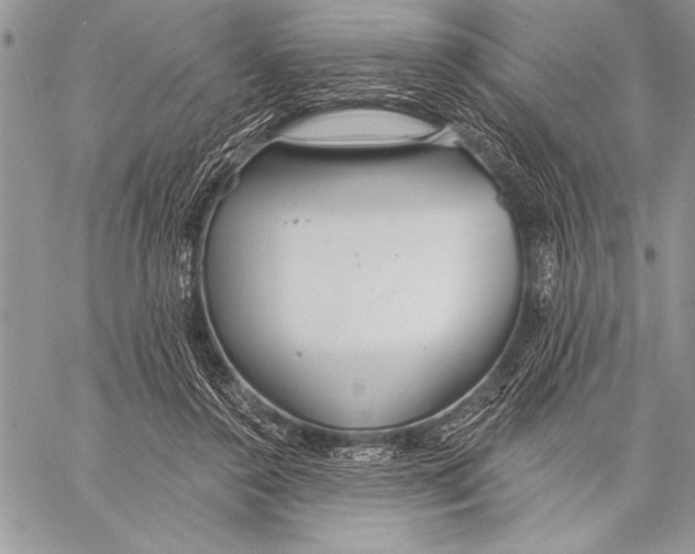 X0000058120356200510171316