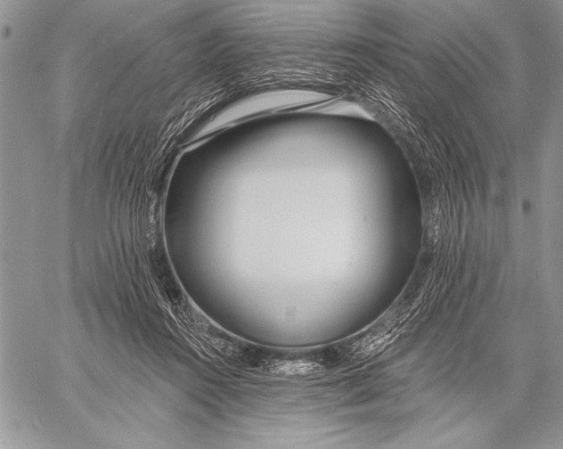 X0000058120360200510171316