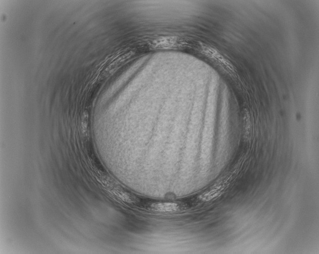 X0000058120361200510171316