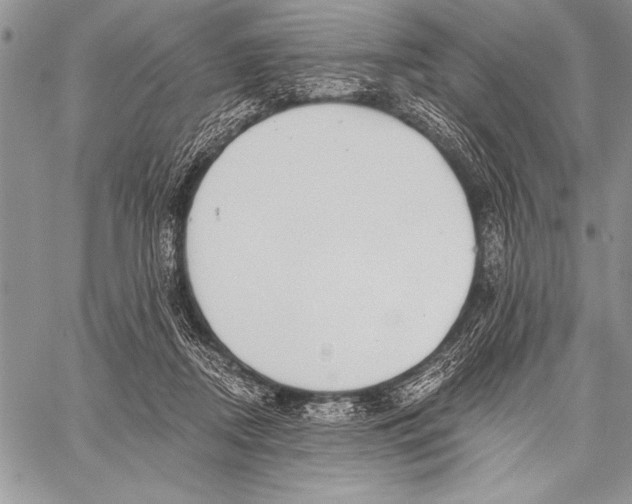 X0000058120362200510171316