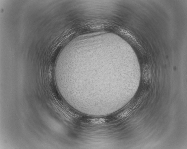 X0000058120363200510171316