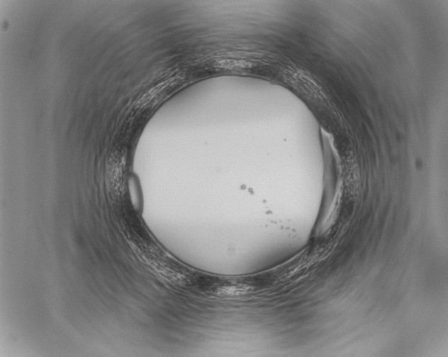 X0000058120364200510171316