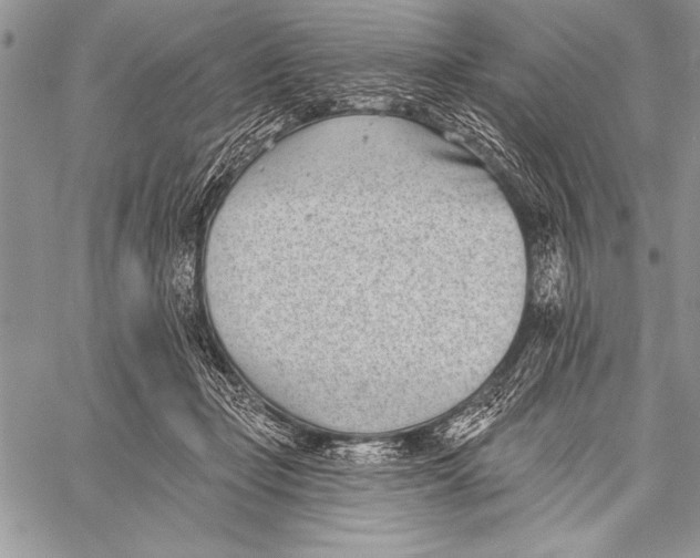 X0000058120365200510171316