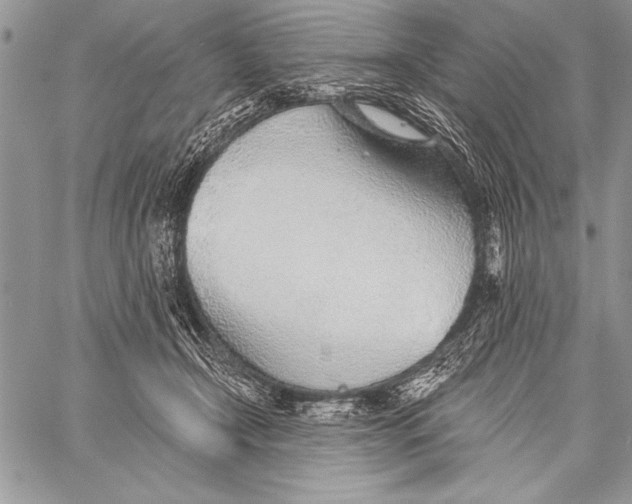 X0000058120366200510171316