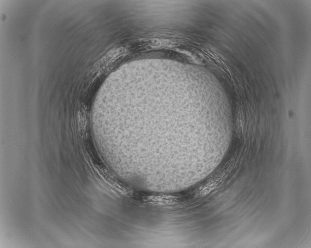 X0000058120367200510171316