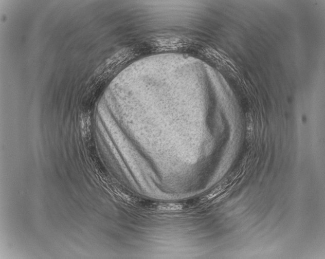 X0000058120369200510171316