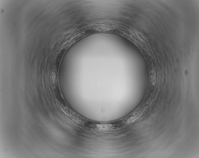 X0000058120371200510171316