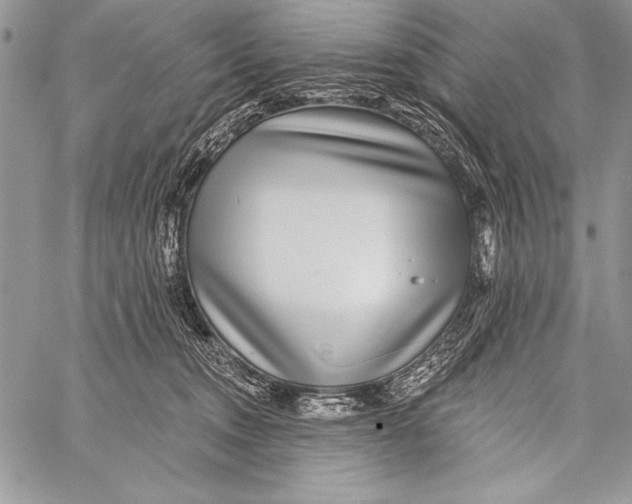 X0000058120372200510171316