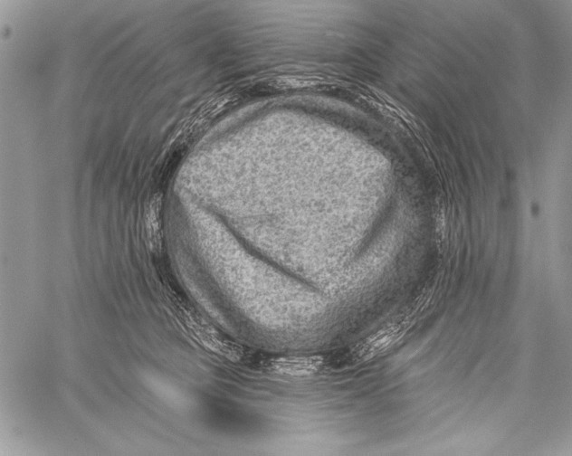 X0000058120373200510171316