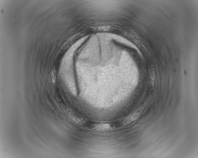 X0000058120374200510171316