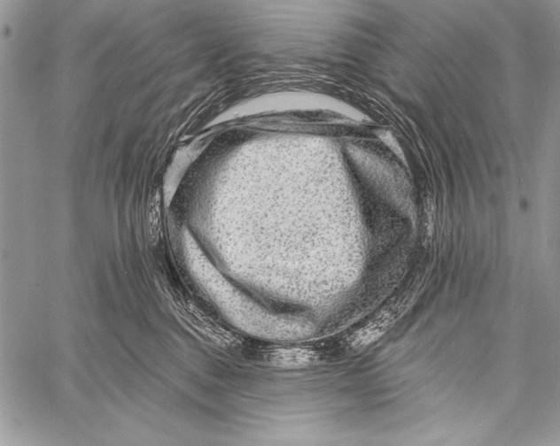 X0000058120376200510171316