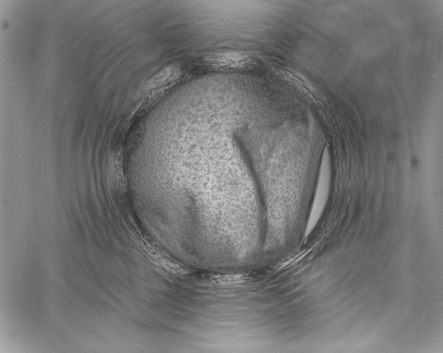 X0000058120377200510171316