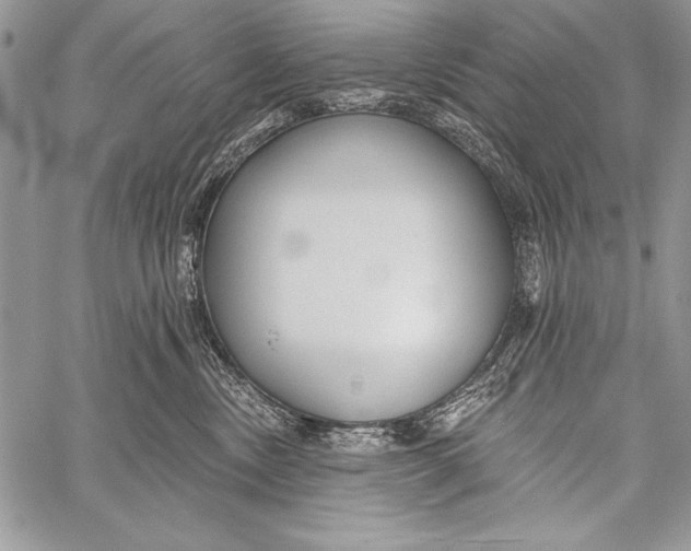 X0000058120378200510171316