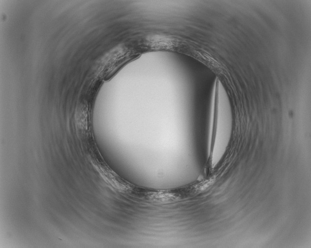 X0000058120379200510171316