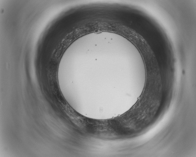 X0000058120382200510171316