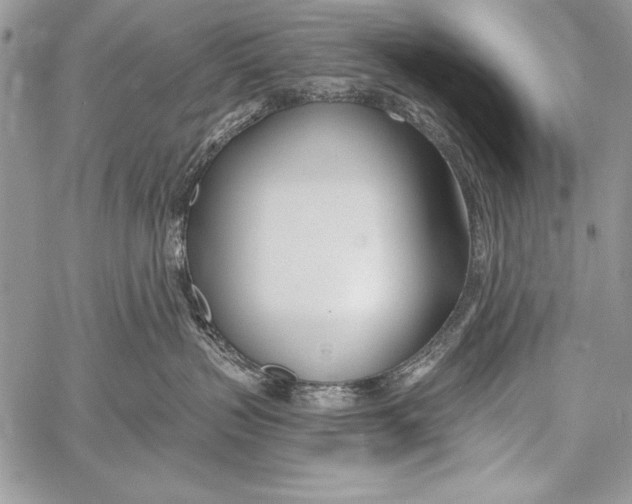 X0000058120383200510171316