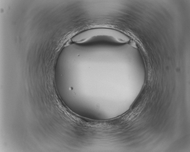 X0000058120385200510171316