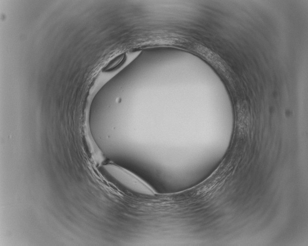 X0000058120386200510171316