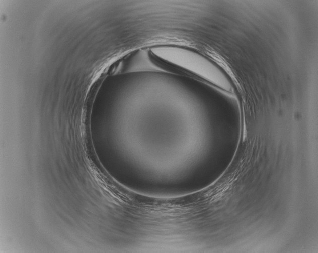 X0000058120387200510171316