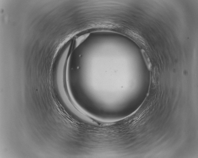 X0000058120388200510171316