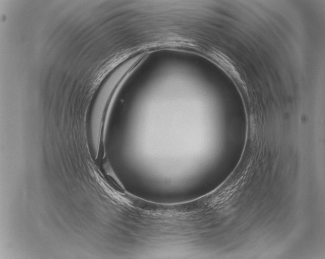 X0000058120389200510171316