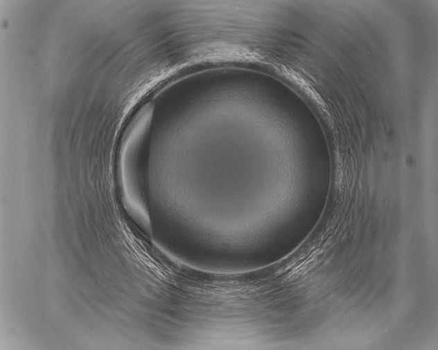 X0000058120391200510171316