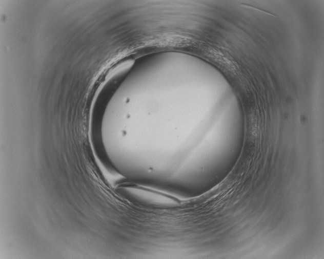 X0000058120392200510171316