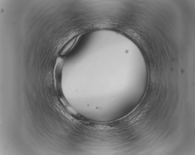 X0000058120393200510171316