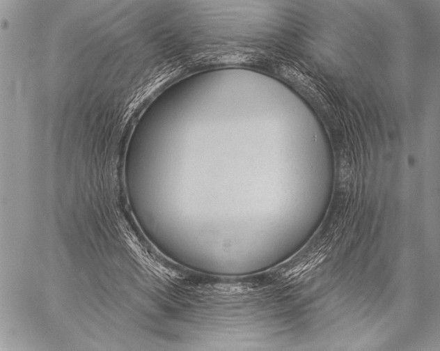 X0000058120394200510171316