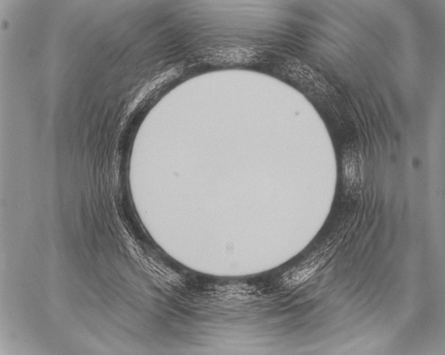 X0000058120396200510171315