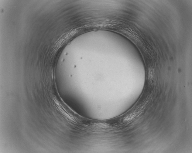 X0000058120397200510171315