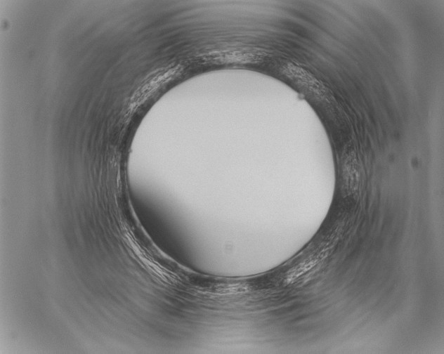 X0000058120398200510171315